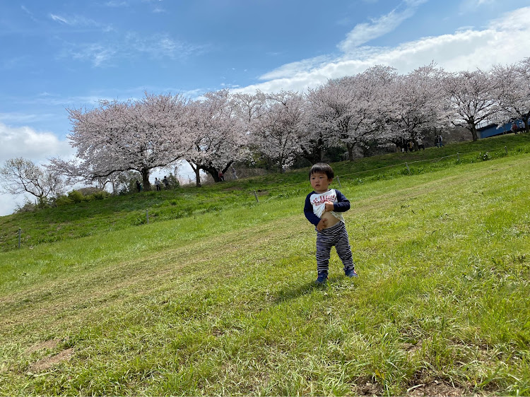 スイフトスポーツの一眼レフ・ドライブ・桜と愛車・桜とコラボに関するカスタム事例の投稿画像8枚目
