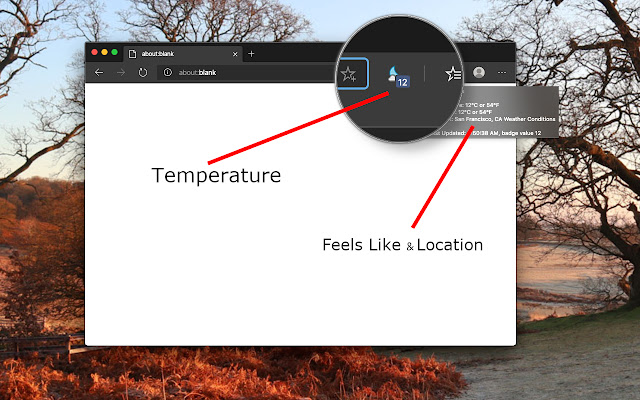 Weather Forecast chrome extension