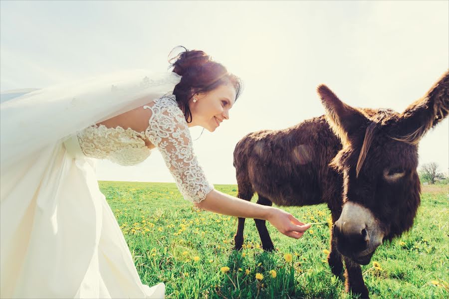 Fotógrafo de casamento Elena Pashkova (pashkovaphoto). Foto de 5 de junho 2017