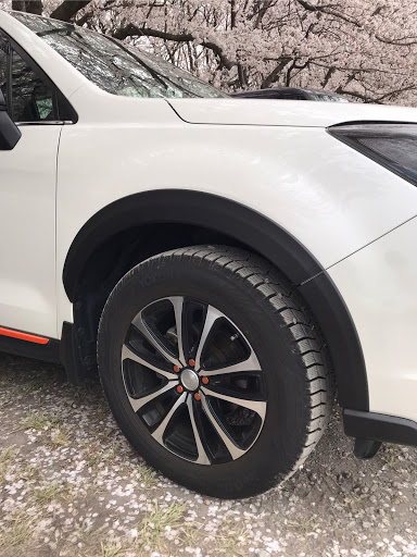 フォレスター Sj5の桜と愛車 愛車紹介 ホイールマッチングに関するカスタム メンテナンスの投稿画像 車のカスタム情報はcartune