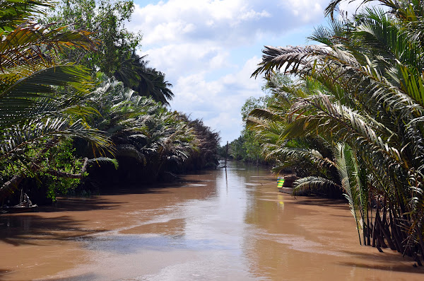 The Mekong River