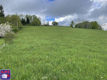 terrain à Roquefeuil (11)