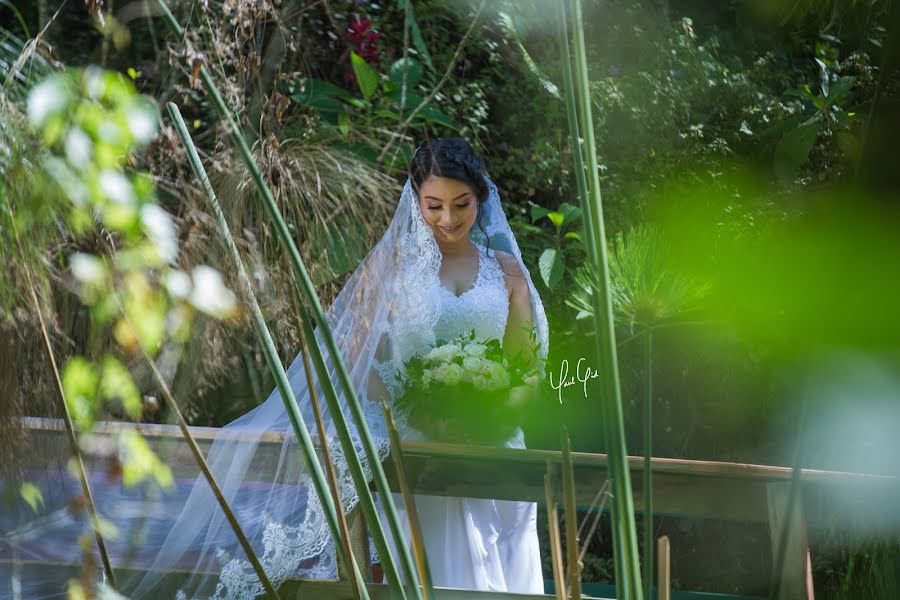 Fotógrafo de casamento Paul Cid (paulcidrd). Foto de 4 de maio 2019