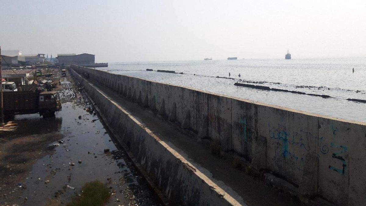 Menengok Tanggul NCICD Muara Baru di Tengah Proyeksi 'Jakarta Tenggelam'