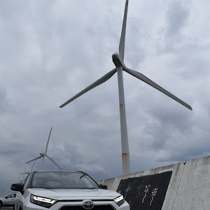 RAV4 AXAP54