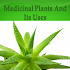 Medicinal Plants and Its Uses 1.0