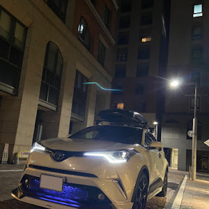 C-HR ZYX10