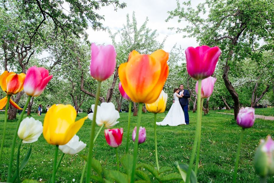 Wedding photographer Anna Mironova (annamironova). Photo of 21 June 2017