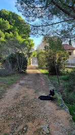 terrain à Bandol (83)