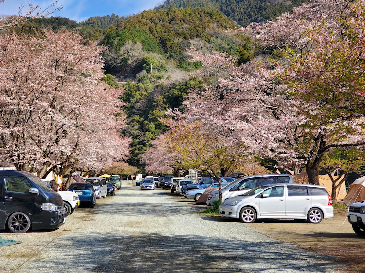 の投稿画像2枚目