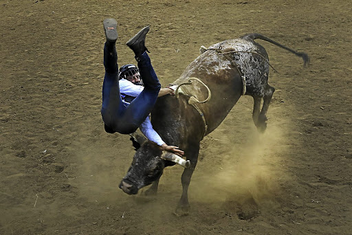 Bull rider Christopher Bosman takes a tumble.