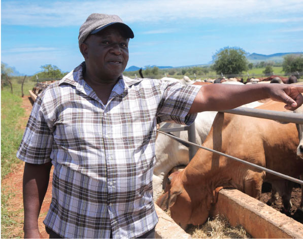 Chairman of Lualenyi ranch, Mr John Msabaa spoke to The Star about their partnership with the KCB Foundation and the ranch’s ambitions.