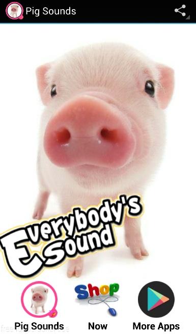 Pig Sounds Screen 1
