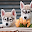 Cute Hasky Puppies Screen Lock New Theme 2019 Download on Windows