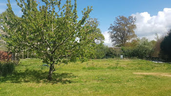 terrain à Herbignac (44)