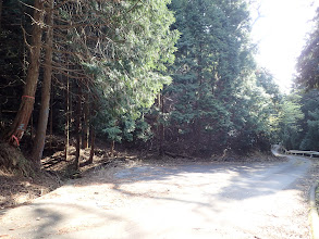 左手に作業道がある