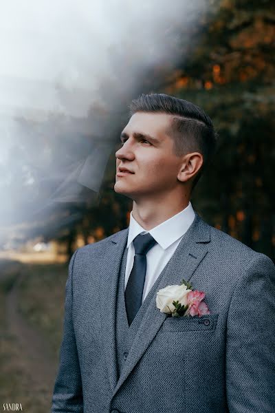 Fotógrafo de bodas Aleksandra Nikolaeva (alexandraart). Foto del 2 de noviembre 2018