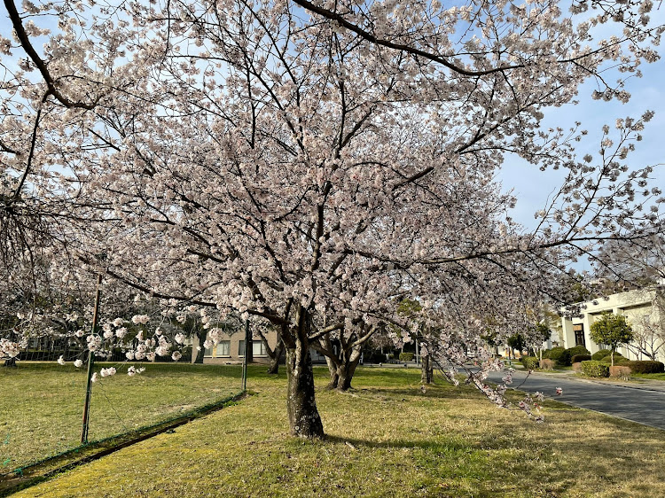 の投稿画像5枚目