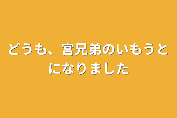 どうも、宮兄弟の妹になりました