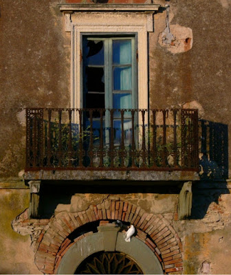 Il balcone di ginko126