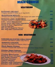 Tyson Place China Town menu 5