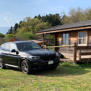 X3 xDrive 20d