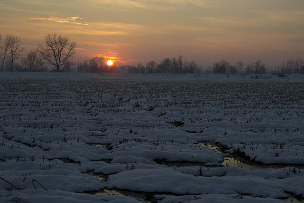 campagna innevata di alice_ale