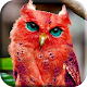 Download Red Owl For PC Windows and Mac 1.0