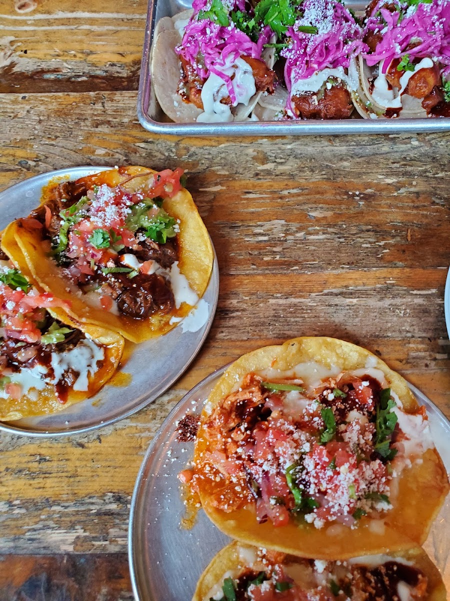 Gluten-Free Tacos at Playa Cabana Cantina