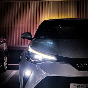 C-HR NGX10