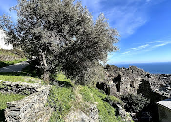 terrain à Santa-Maria-di-Lota (2B)