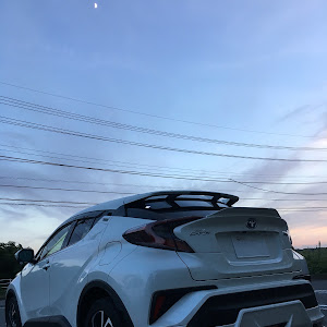 C-HR ZYX10