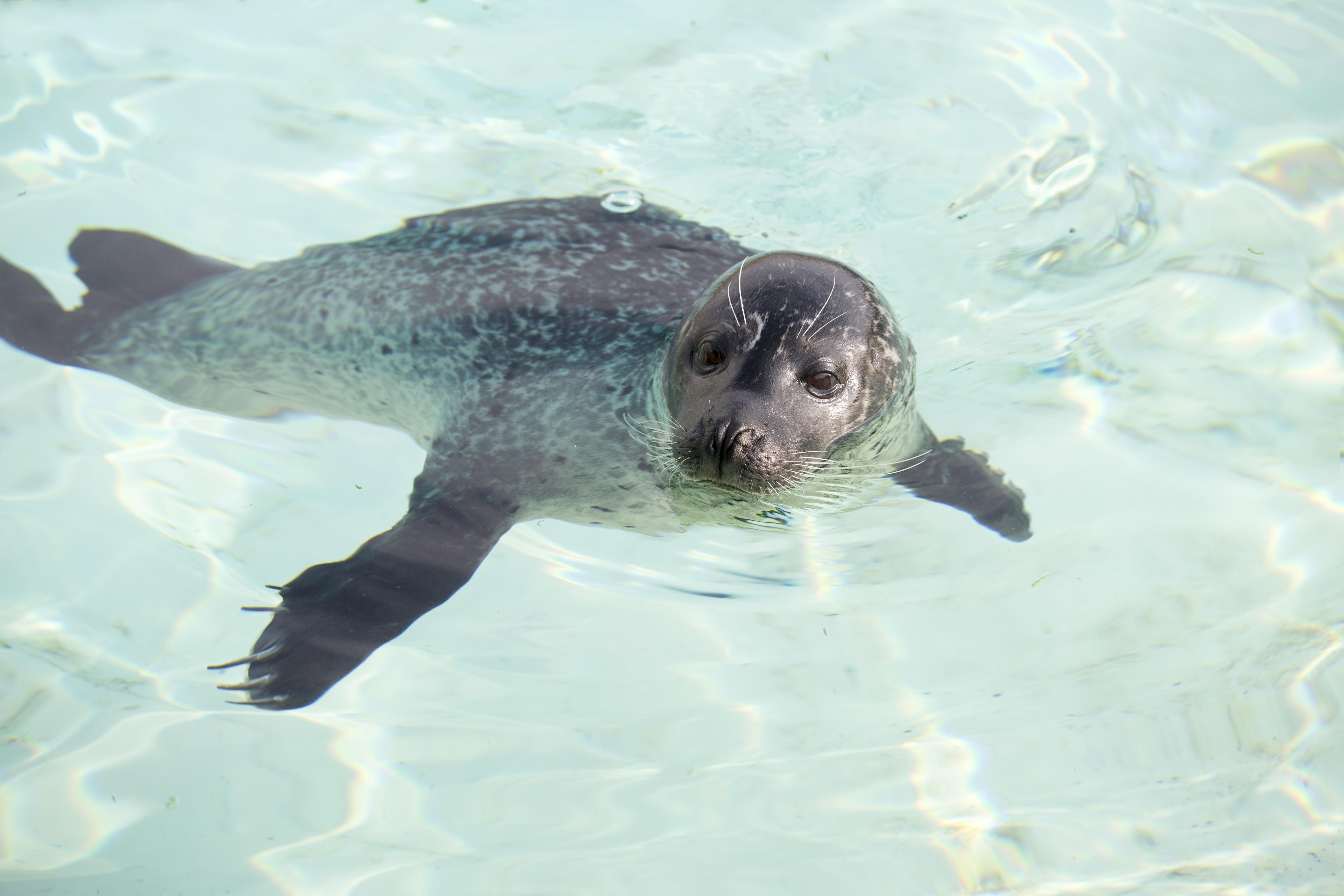 Marineland