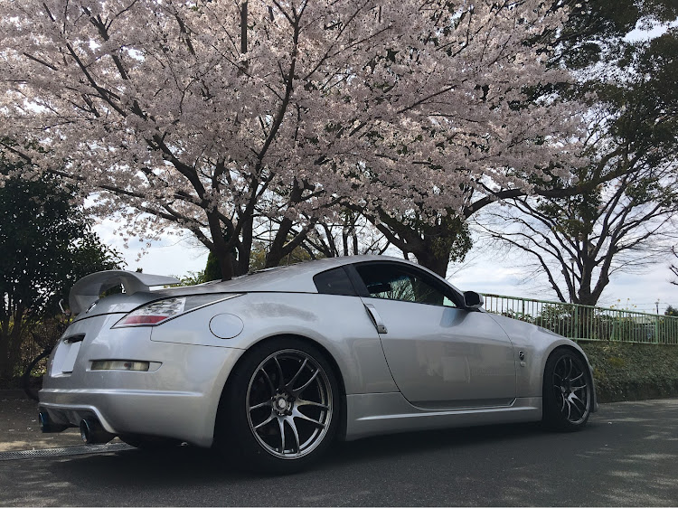 フェアレディZのいつもイイネ&コメントありがとうございます🙇‍♂️・桜とコラボ🌸・4月もよろしくお願い致します🌸・お花見ドライブ🌸・ツーリングに関するカスタム事例の投稿画像5枚目