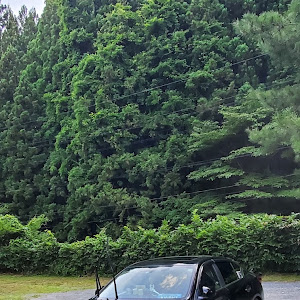 スカイライン YV37