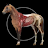 Horse Anatomy: Equine 3D icon