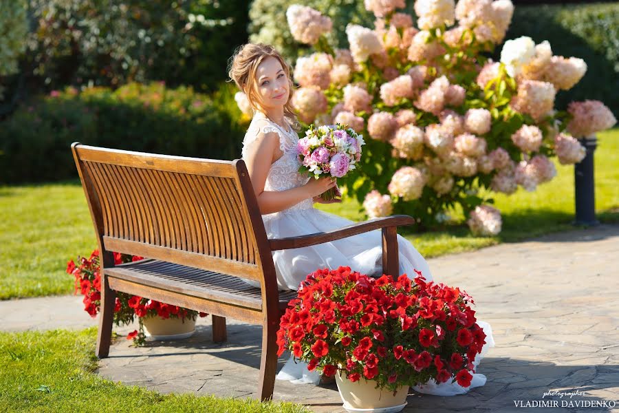 Photographe de mariage Vladimir Davidenko (mihalych). Photo du 30 juin 2021