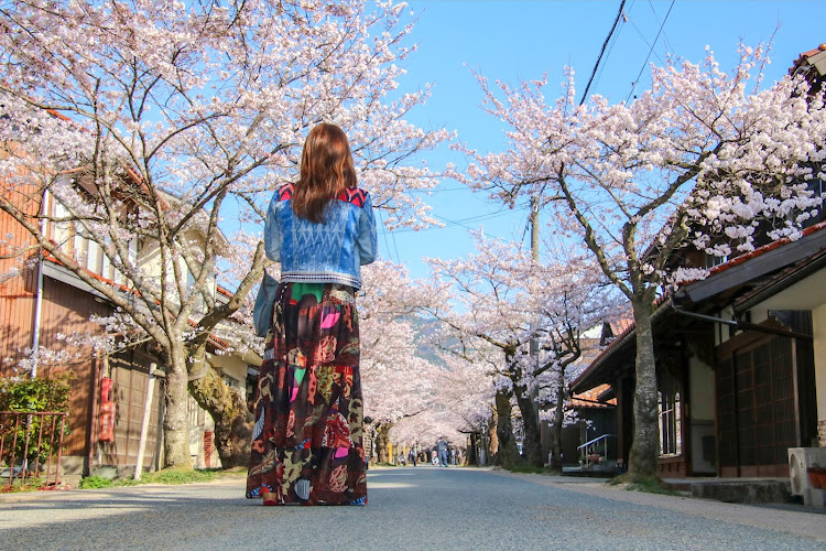 ロードスターの桜とコラボ🌸・ロードスターNC倶楽部・春の交通安全週間・AK★WORKS・ロードスターNCに関するカスタム事例の投稿画像11枚目