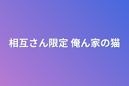 相互さん限定 俺ん家の猫