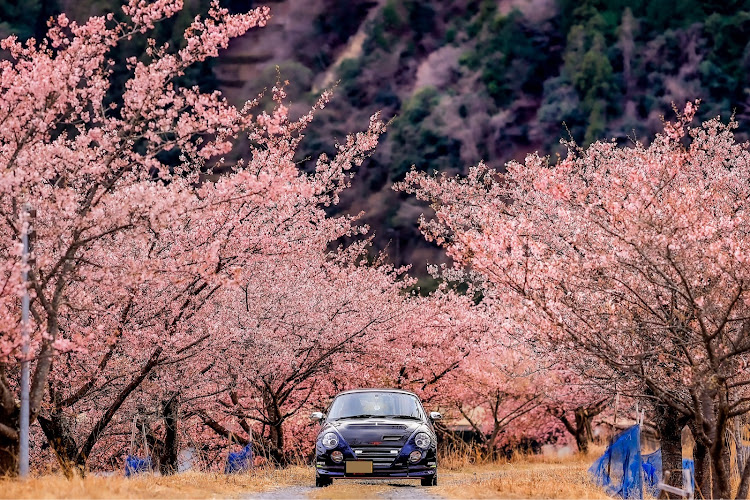 の投稿画像2枚目