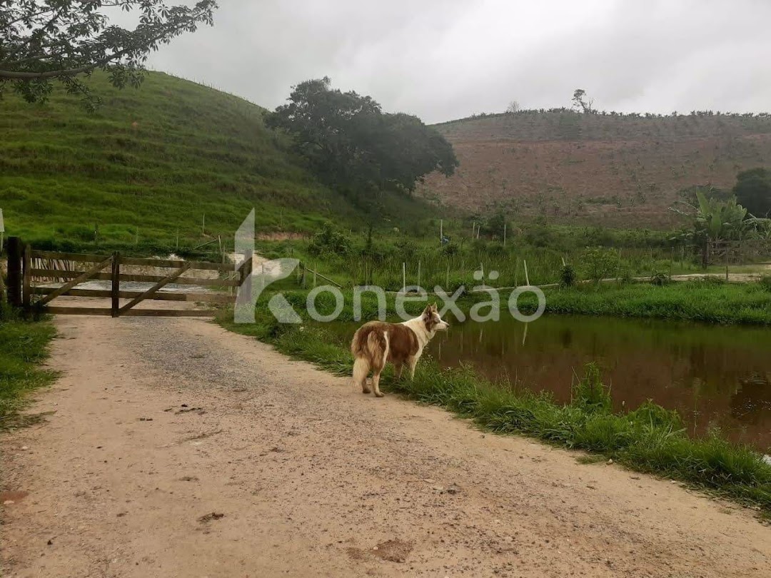 Fazendas à venda Centro