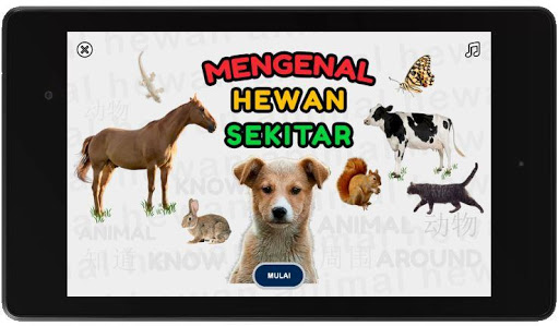 Mengenal Hewan Sekitar