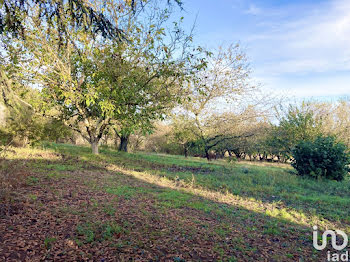 terrain à Bonrepos-Riquet (31)