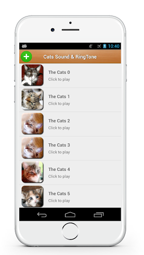 Cat Sound Ringtone