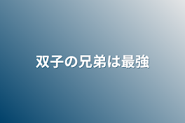 双子の兄弟は最強