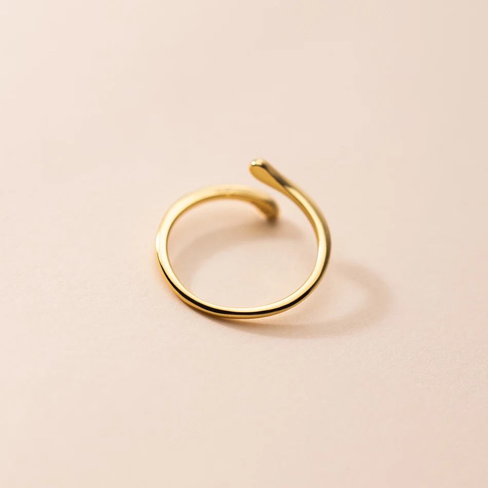 Dames S925 Zilveren Glanzende Lijn Ring. Een stijlvolle ring voor elke dag, perfect als cadeau. Verfijnde sieraden voor vrouwen die van elegantie houden.