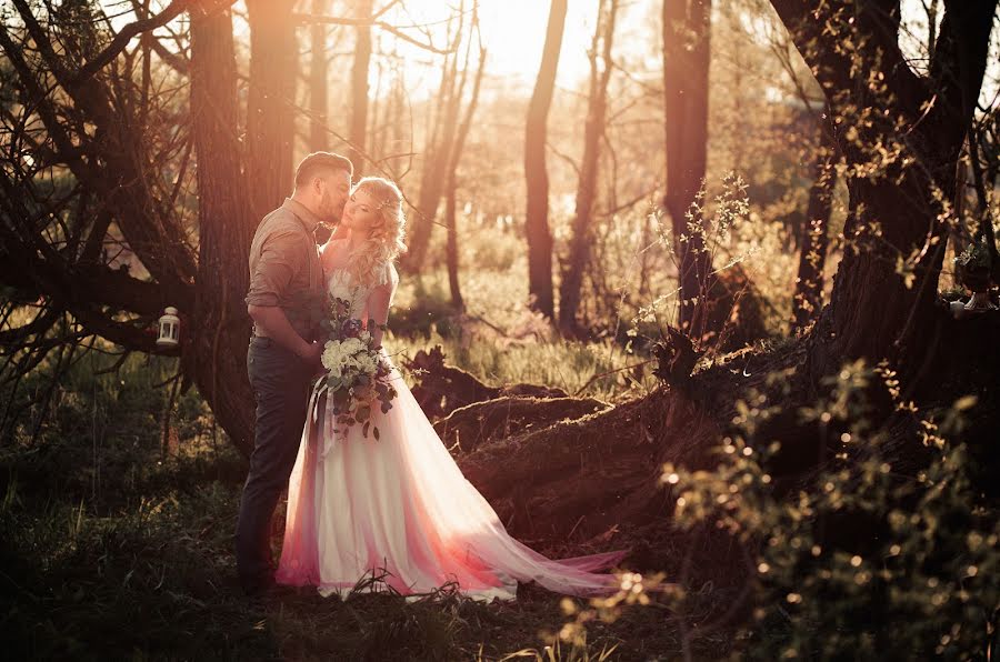 Photographe de mariage Aleksey Bibikov (bibikov). Photo du 13 mai 2016