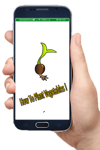 How to Plant Vegetables