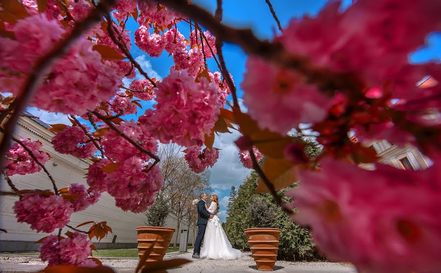 Fotograful de nuntă Artem Danilov (alkor2206). Fotografia din 8 mai 2023