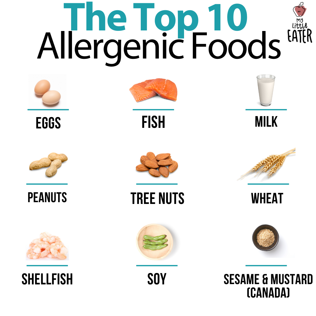 BLW Meaning (and Food Allergen Tips)